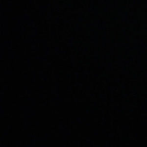 Meet your Posher, Lena